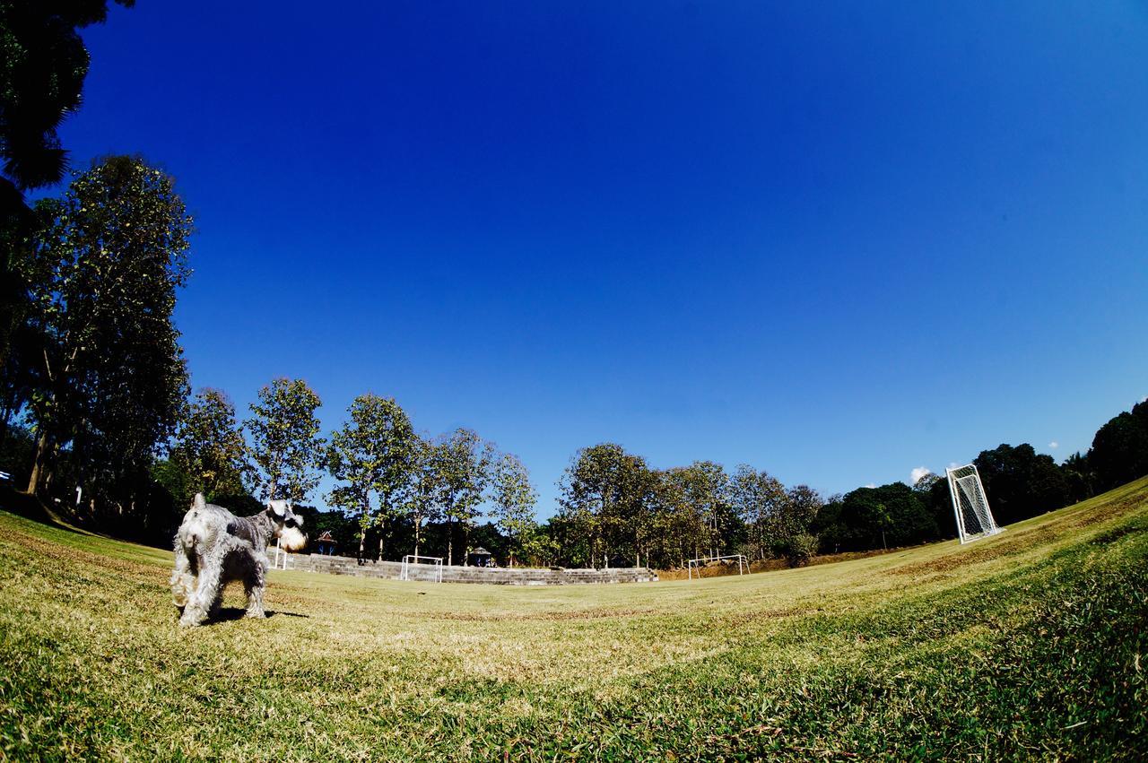 The Teak Resort Chiangdao Чианг Дао Экстерьер фото